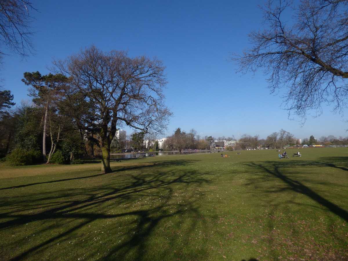 Cannon Hill Park - blue sky (February 2019)